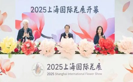 水石设计荣获2025上海国际花展—铂金奖 爱·不忘花园
